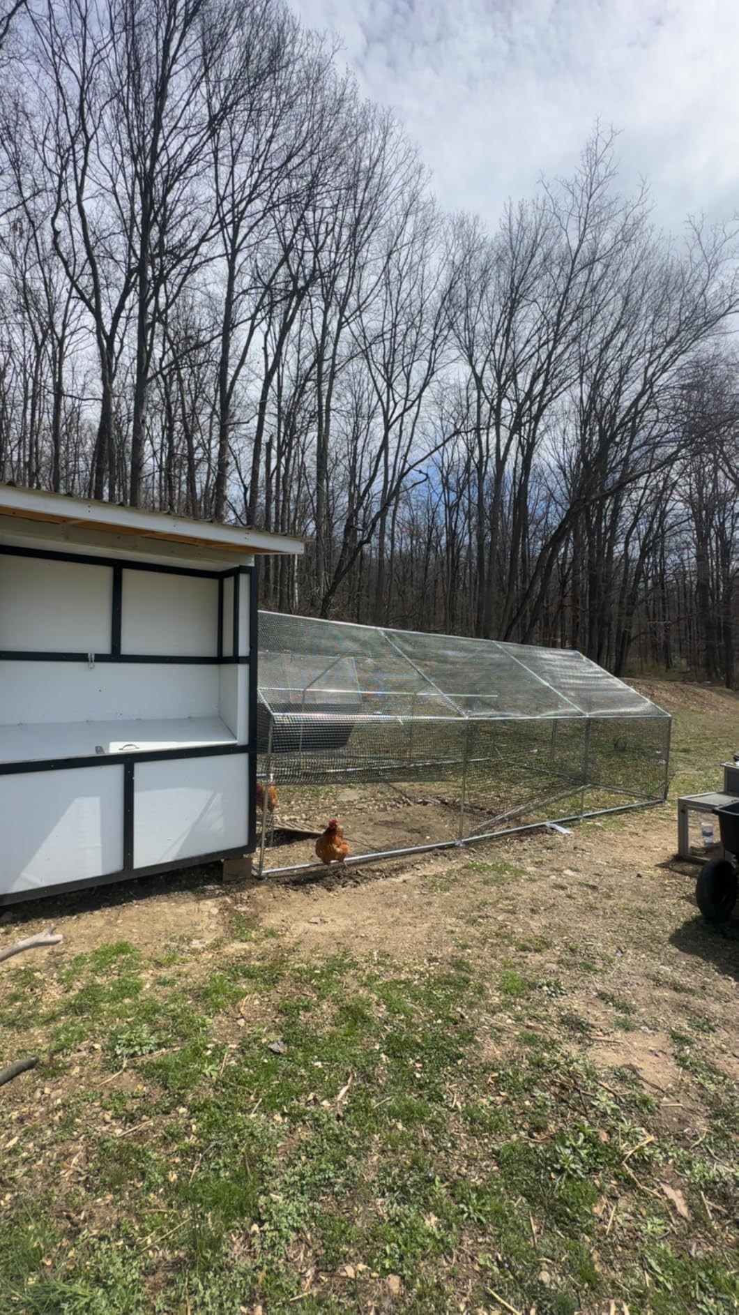 CAMMOO Metal Chicken Coop with Run, 13.1x9.8x6.6ft, Walk-in Chicken Run for Yard with Cover, Upgrade Double Lock & Rust-Proof Mesh, Stainless Steel Ties, Easy Assembly, Chicken Pen for Ducks, Rabbits customer photo 1