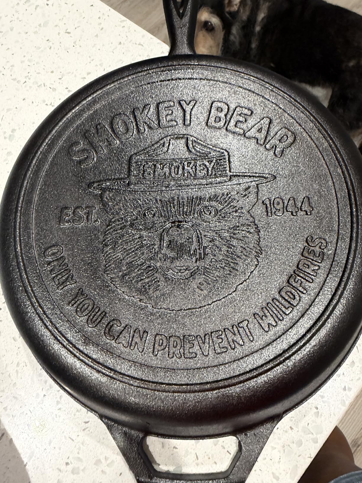 Lodge Cast Iron 10.25 In Skillet, Smokey Bear Logo customer photo 2