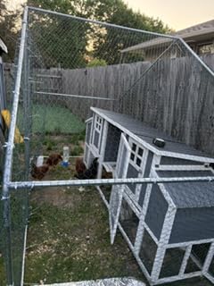 Large Metal Chicken Coop Run with Roosting Perch, 10'x 5'x 6.4',Outdoor Walk-in Chicken Duck Cage Fence Enclosure Hen House with Waterproof and UV-Resistant Cover for Yard customer photo 2