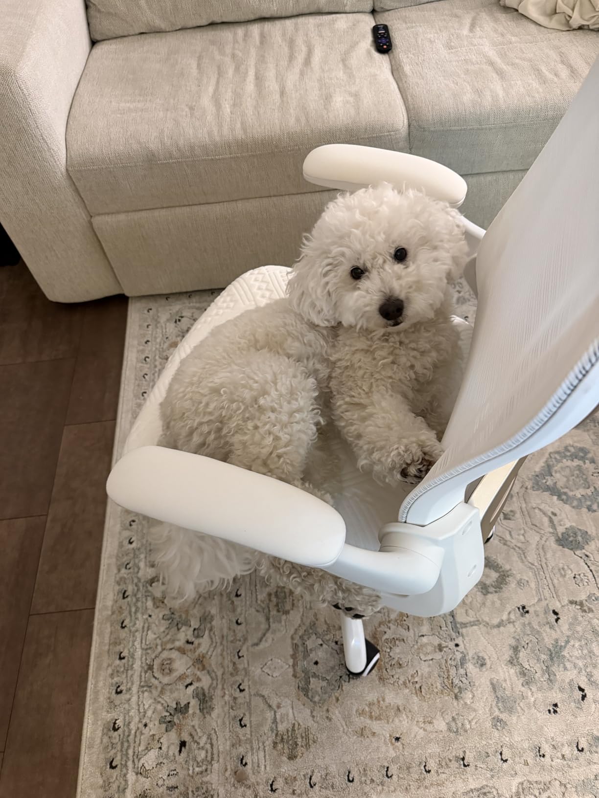 Office Desk Chair with Ergonomic Lumbar Support, Extra-Thick Seat Cushion, Flip-up Arms, Breathable Mesh Back, Computer Task Chair for Home Office customer photo 1
