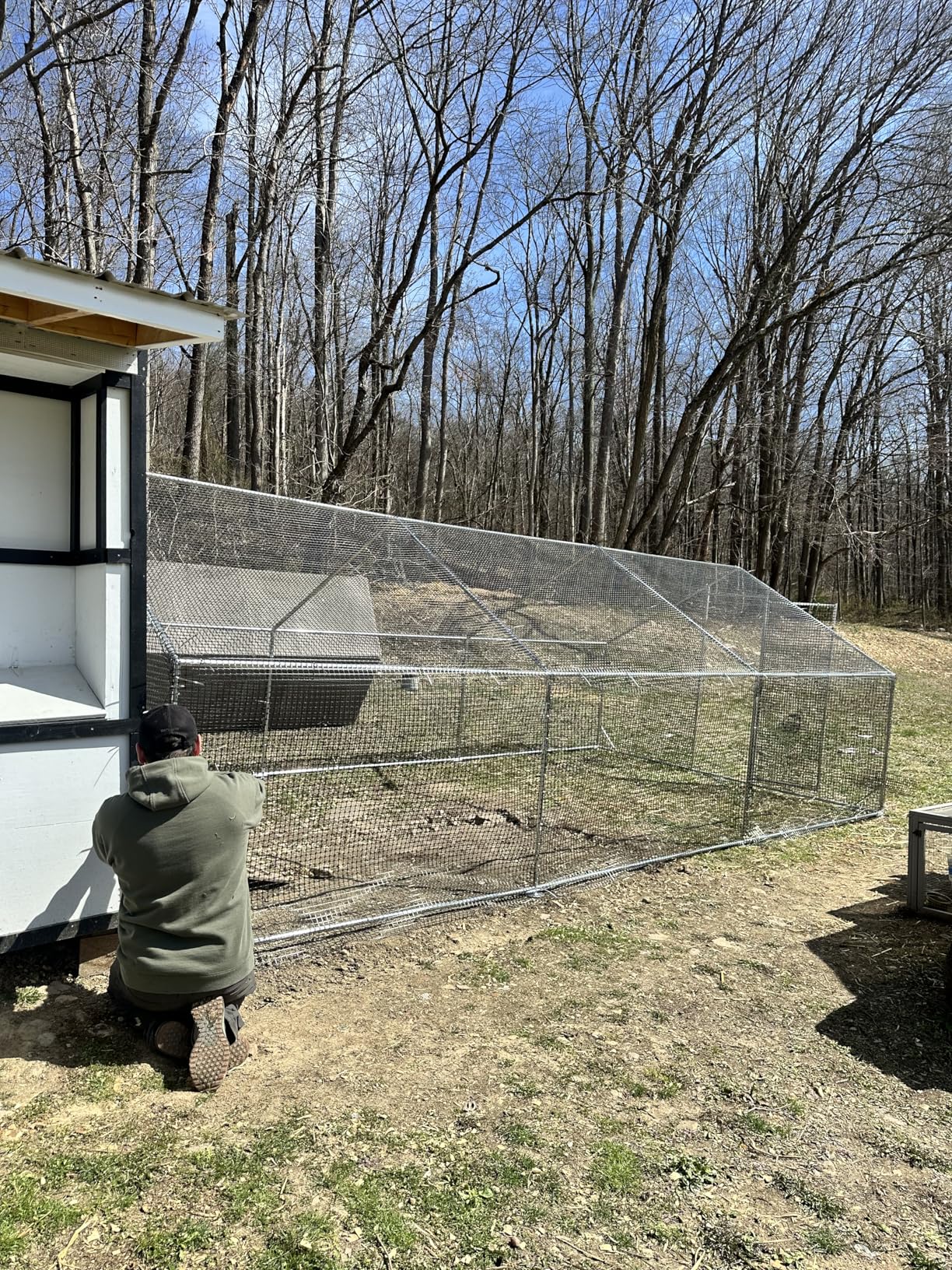 CAMMOO Metal Chicken Coop with Run, 19.7x9.8x6.6ft, Walk-in Chicken Run for Yard with Cover, Upgrade Double Lock & Rust-Proof Mesh, Stainless Steel Ties, Easy Assembly, Chicken Pen for Ducks, Rabbits customer photo 2