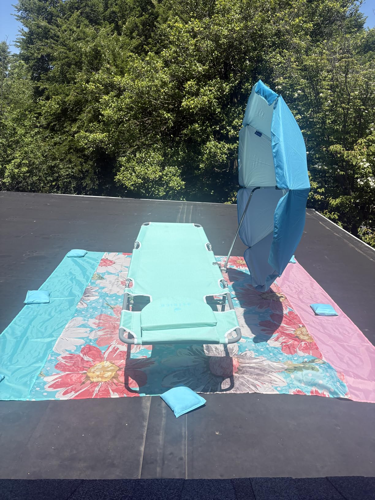 Ostrich the Original Chaise 72 x 22 Inch Lounge Portable Reclining Lounger, Ocean Blue customer photo 1
