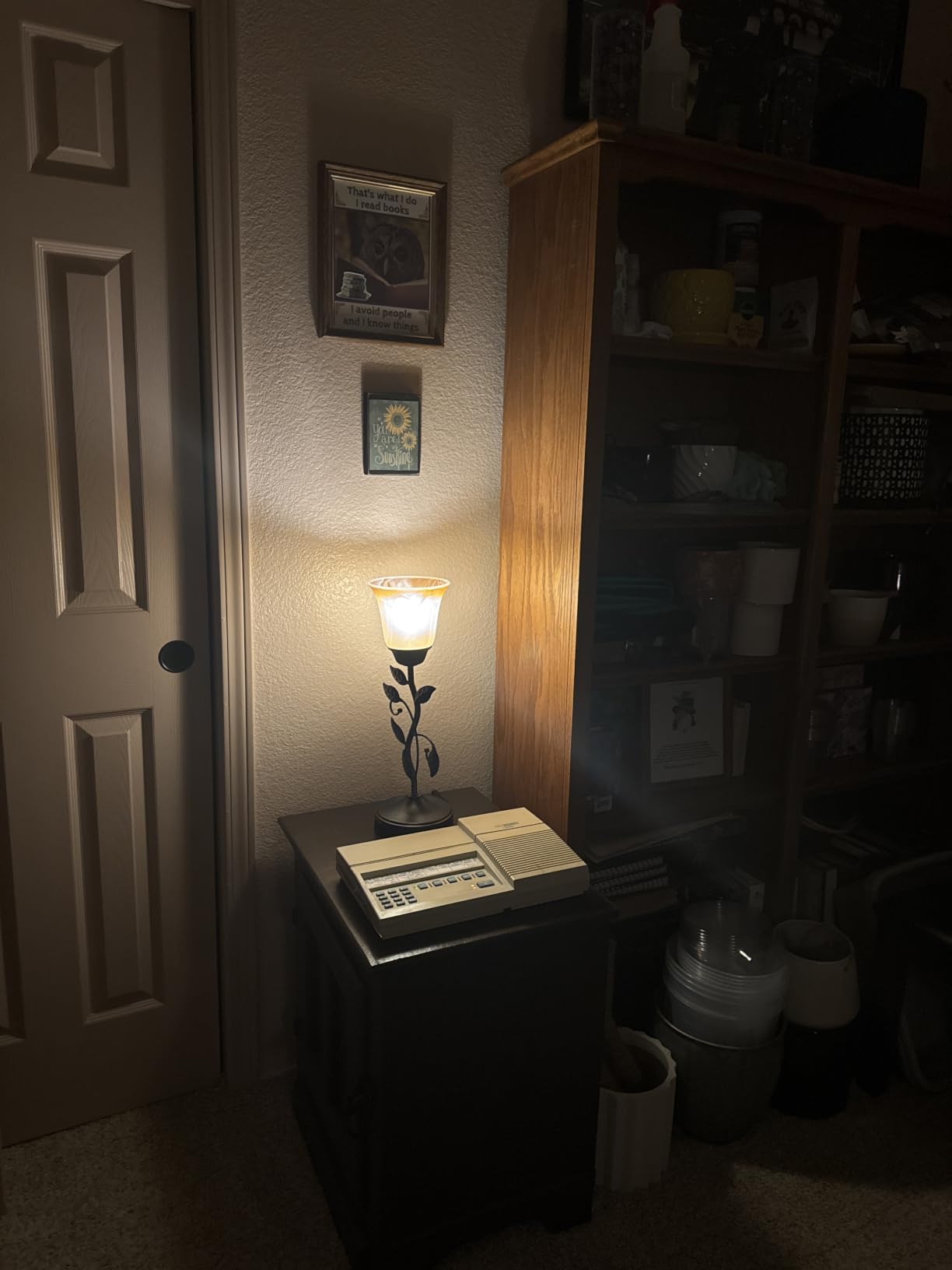 Touch Control Table Lamp with 2 USB Charging Ports, 3-Way Dimmable Bedside Nightstand Lamps, Amber Glass Shade Vintage Rural Leaf Lamp customer photo 1