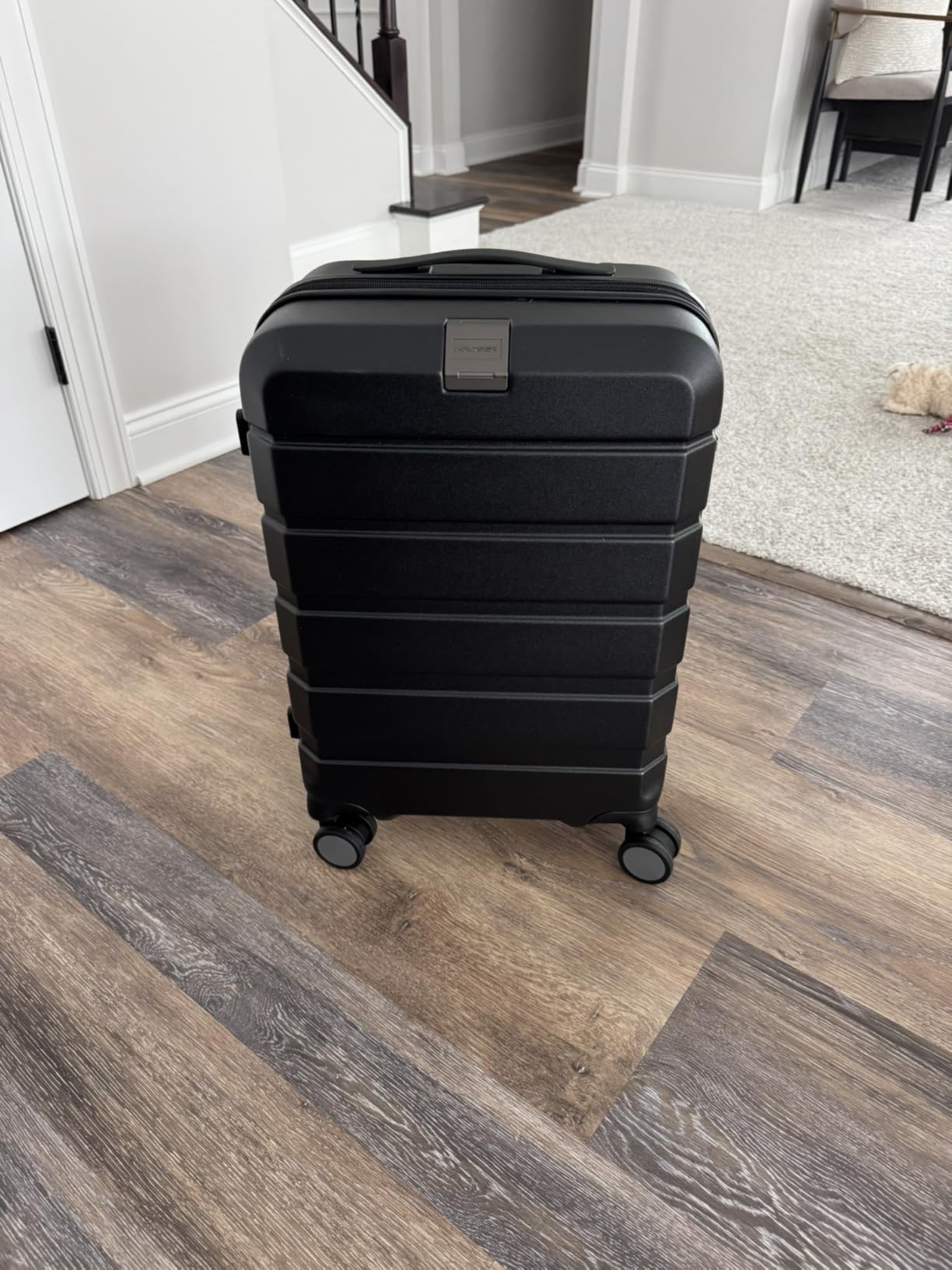 Hardside Expandable Carry On Luggage with Spinner Wheels & Built-in TSA Lock, Durable Suitcase Rolling Luggage with USB Port, Carry-On 20-Inch, Silver Grey customer photo 2