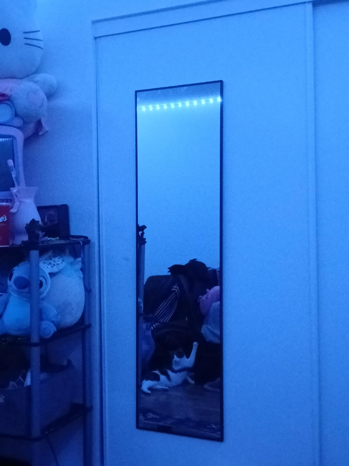 Delma Wall Full Length Mirror, Standing Mirror Full Body, Large Floor with Aluminium Frame (56x15-Black) customer photo 2
