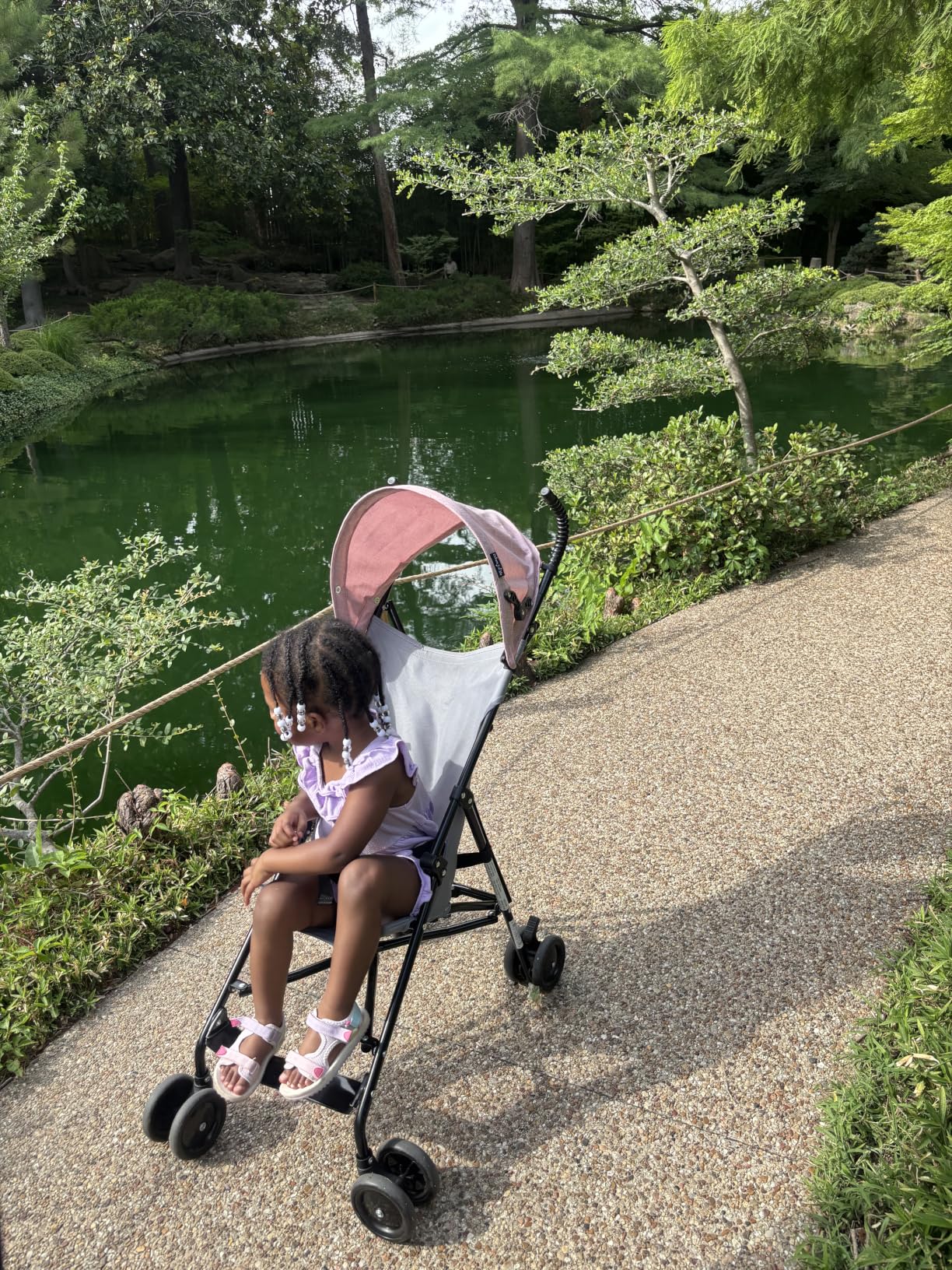 Dream On Me Aero Travel Umbrella Stroller, One-Hand Quick Fold, 3-Point Safety Harness, Dual Brakes, Adjustable Removable Canopy, Lightweight Compact & Space-Saving, for 6 to 36 Months - Grey customer photo 1
