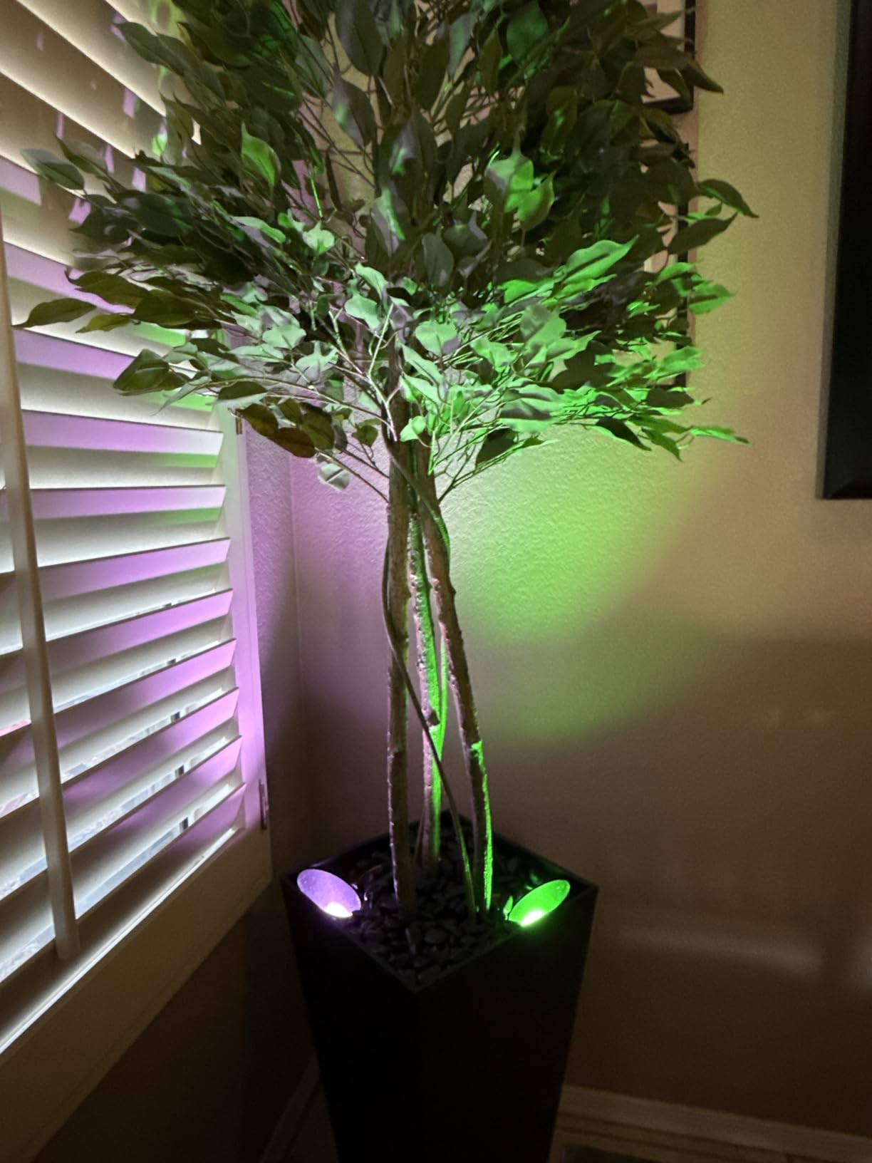 SUNVIE 2 Pack Smart Floor Can Light 5W RGBW Color Changing Uplighting Indoor Uplights 2700K-6500K Up Lights Indoor Floor Spotlight for Plant Corner Wall Artwork, APP Control Alexa & Google Home, Black customer photo 1