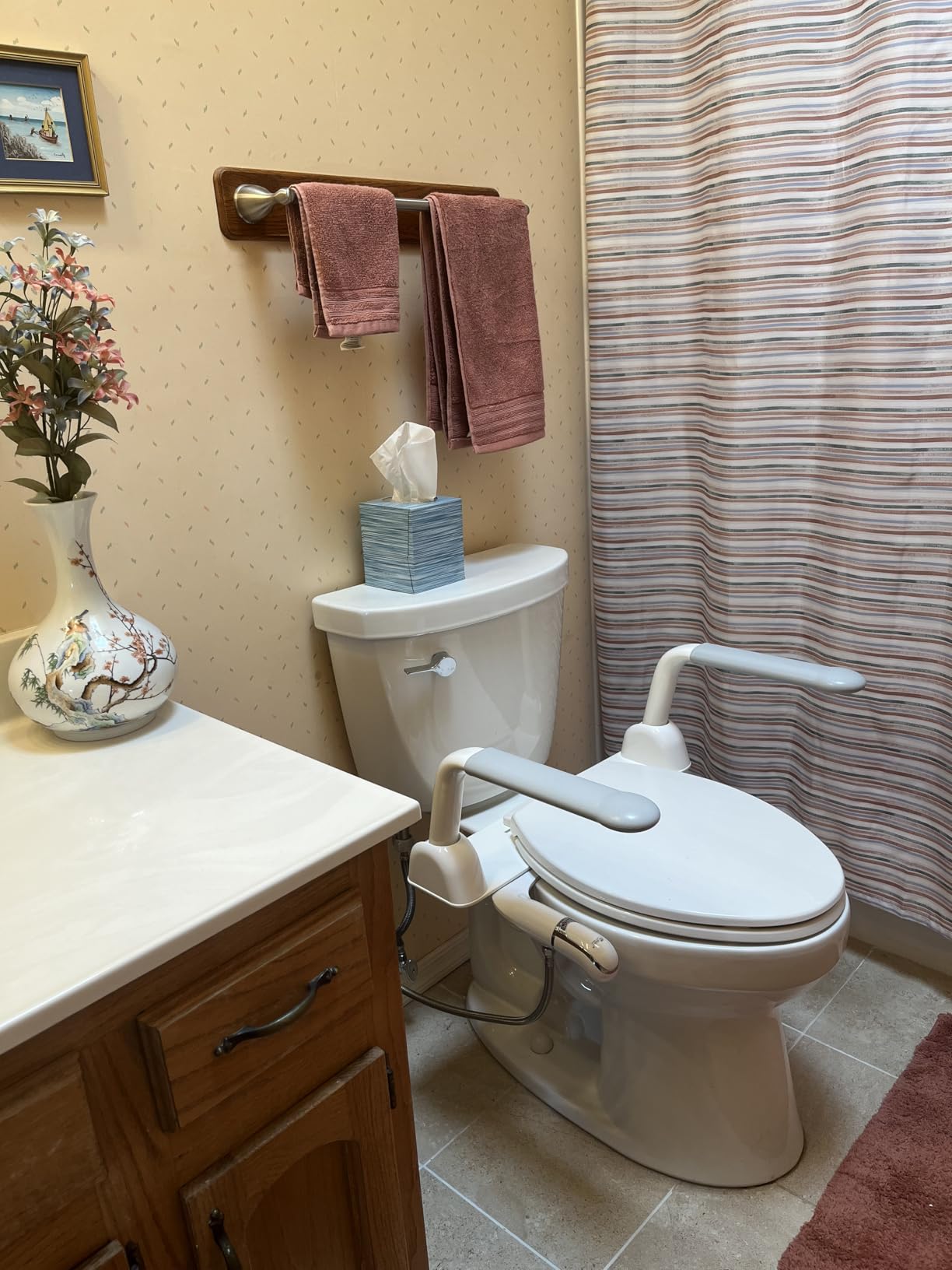 Vive Toilet Safety Rail with Flip-Up Handles - 450 lb Capacity Senior Safety Frame for Elderly & Disabled - Handicap Grab Bar Riser Stand Assist with Arms for Bathroom Assistance & Raised Toilets customer photo 1