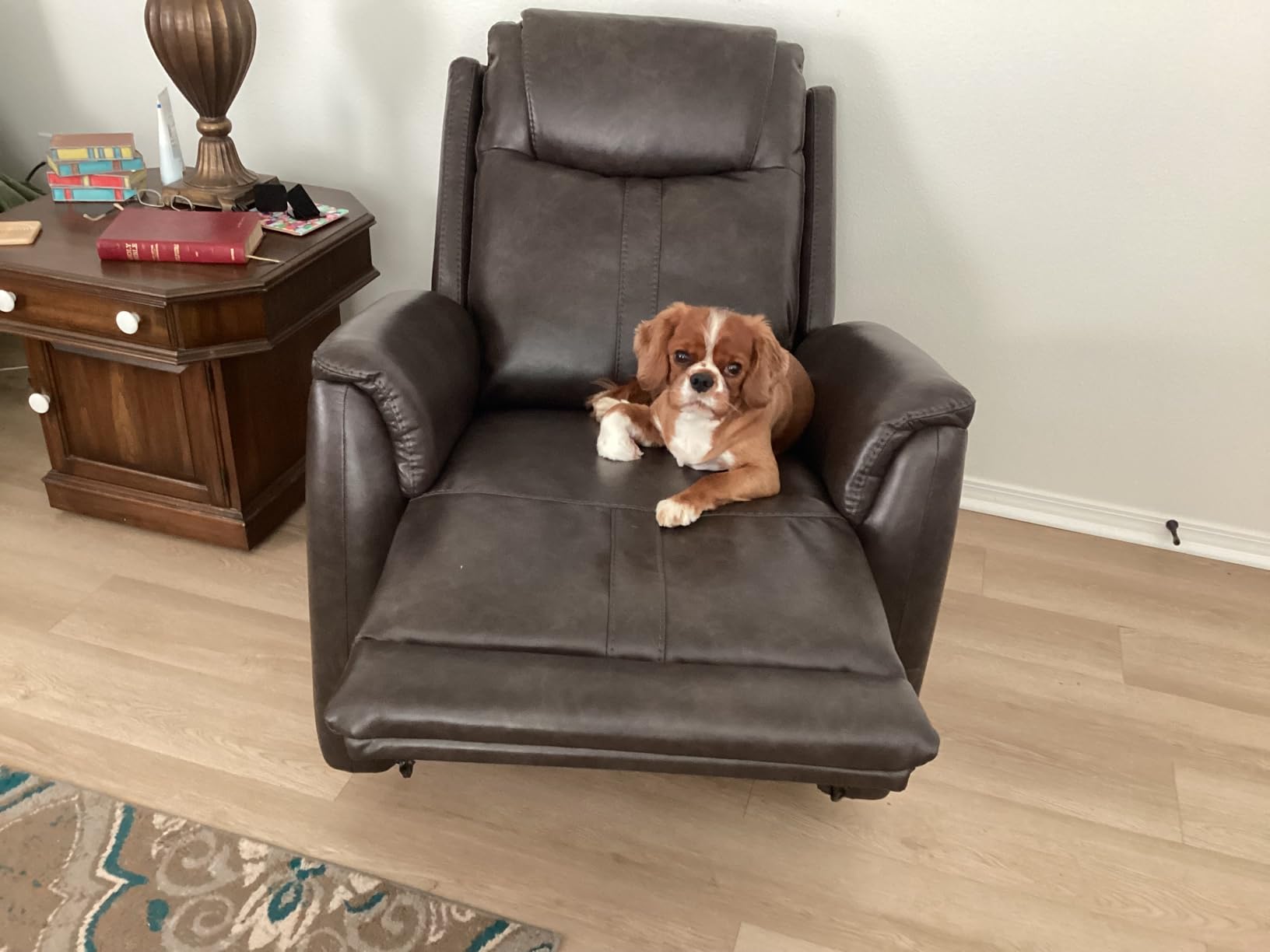 CHITA Power Recliner Chairs for Adults, Electric Leather Super Zero Gravity Recliner with USB & Type-C Charging Ports for Living Room, Bedroom & Home Theater Relaxation, Faux Leather in Camel customer photo 1