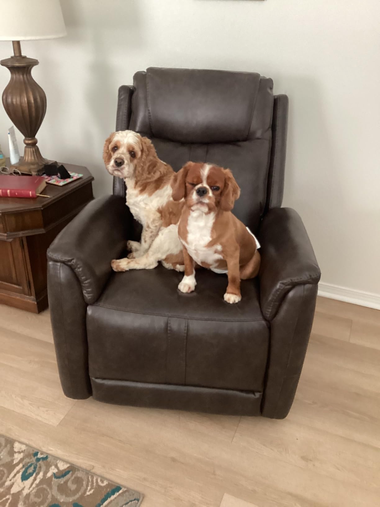 CHITA Power Recliner Chairs for Adults, Electric Leather Super Zero Gravity Recliner with USB & Type-C Charging Ports for Living Room, Bedroom & Home Theater Relaxation, Faux Leather in Camel customer photo 2