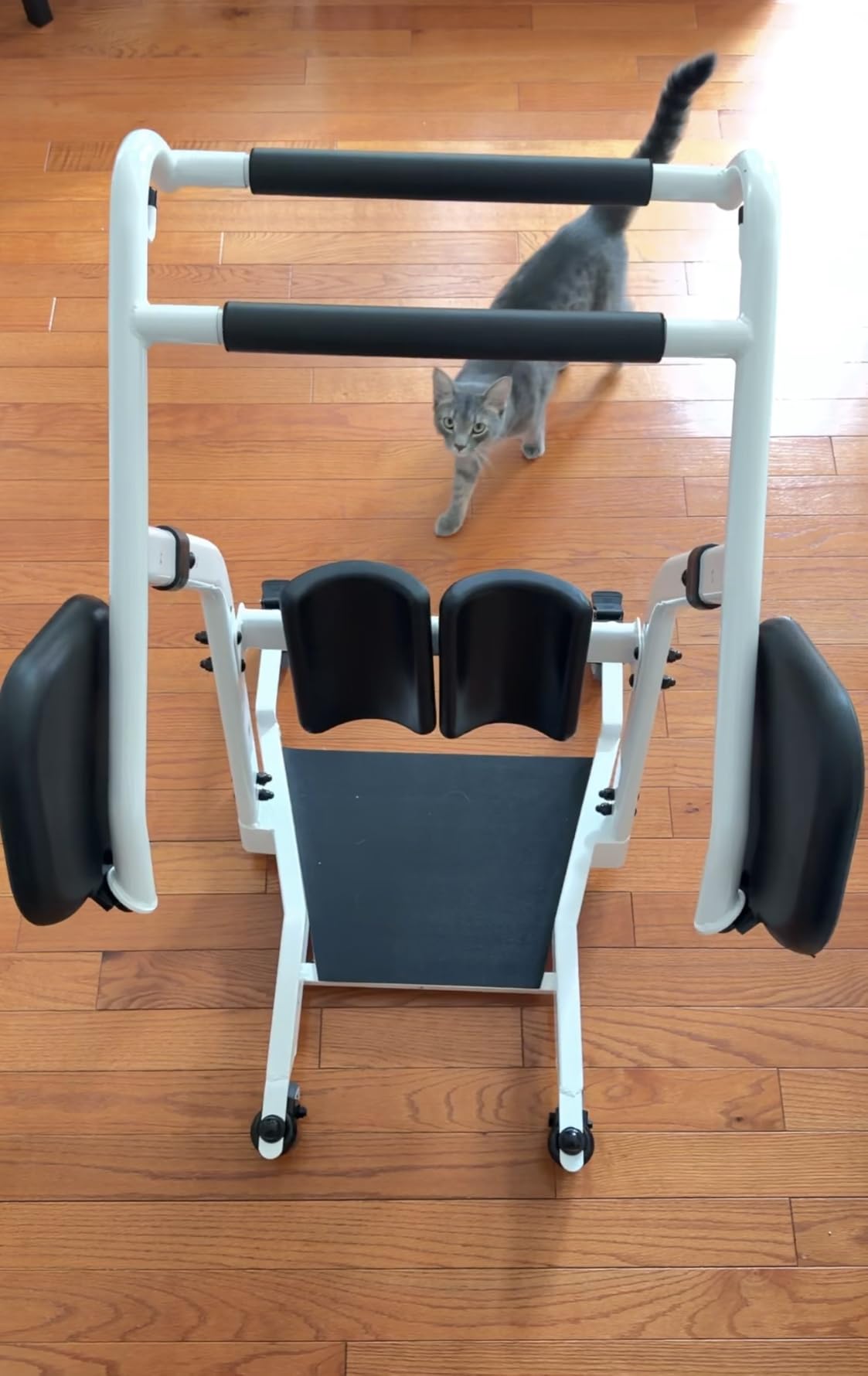 VOCIC Sit to Stand Lift, One-Step Stand Assist Lift for Elderly, Patient Lift Chair Transport Unit with Wheels, AY03 2026 Upgraded customer photo 2